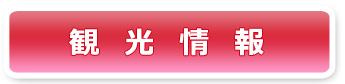 観光情報