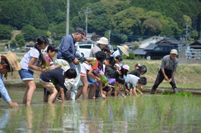 久間っ子田植大会画像