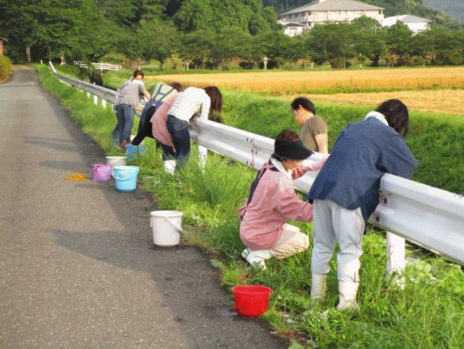 県下一斉クリーン活動.gif