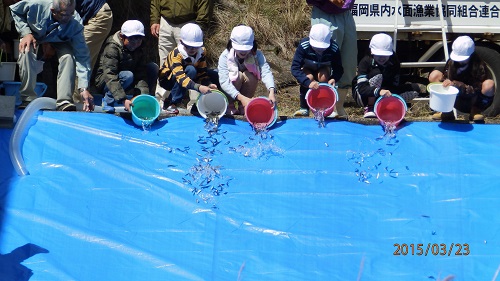 アユの稚魚3500匹を放流