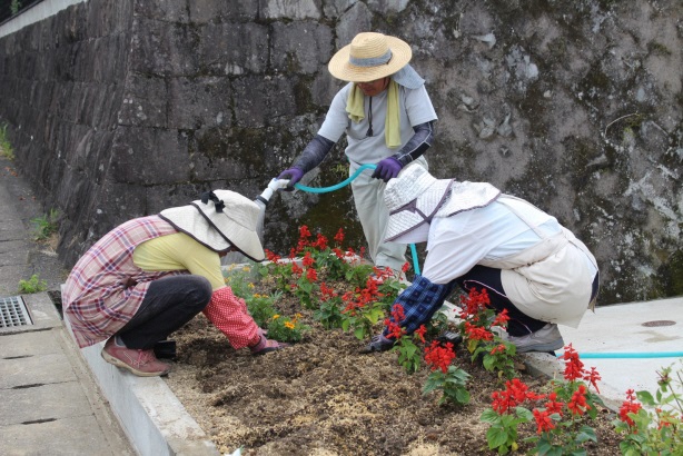 花壇へ花を定植する様子写真