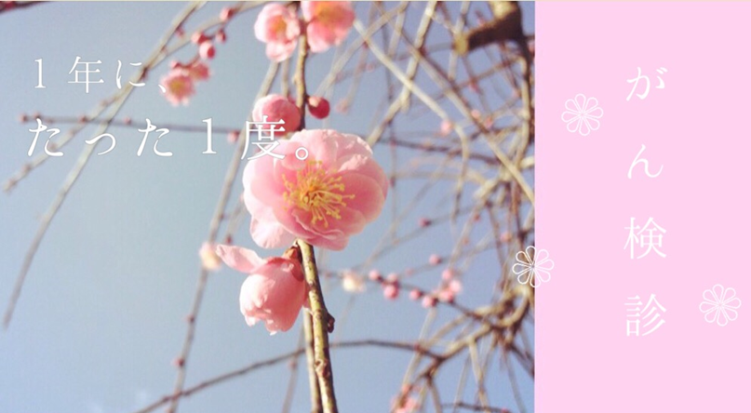 総合がん検診 総合がん検診