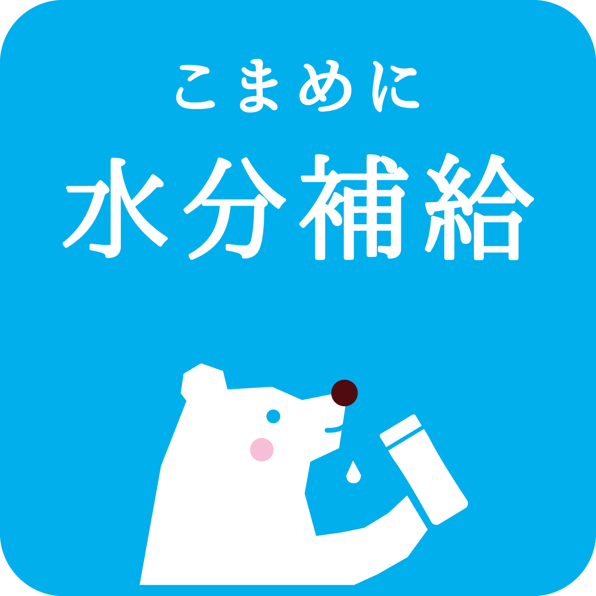 水分補給する熊 水分補給する熊