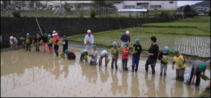 田植え体験.jpg 田植え体験.jpg