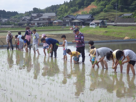 久間っ子田植え体験.jpg 久間っ子田植え体験.jpg